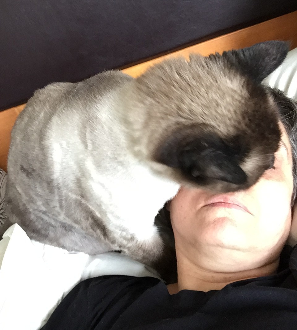 Francis licking my face to wake me up